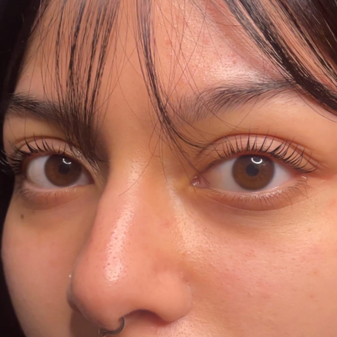 Close-up of natural lashes lifted and tinted by Arched Aesthetics