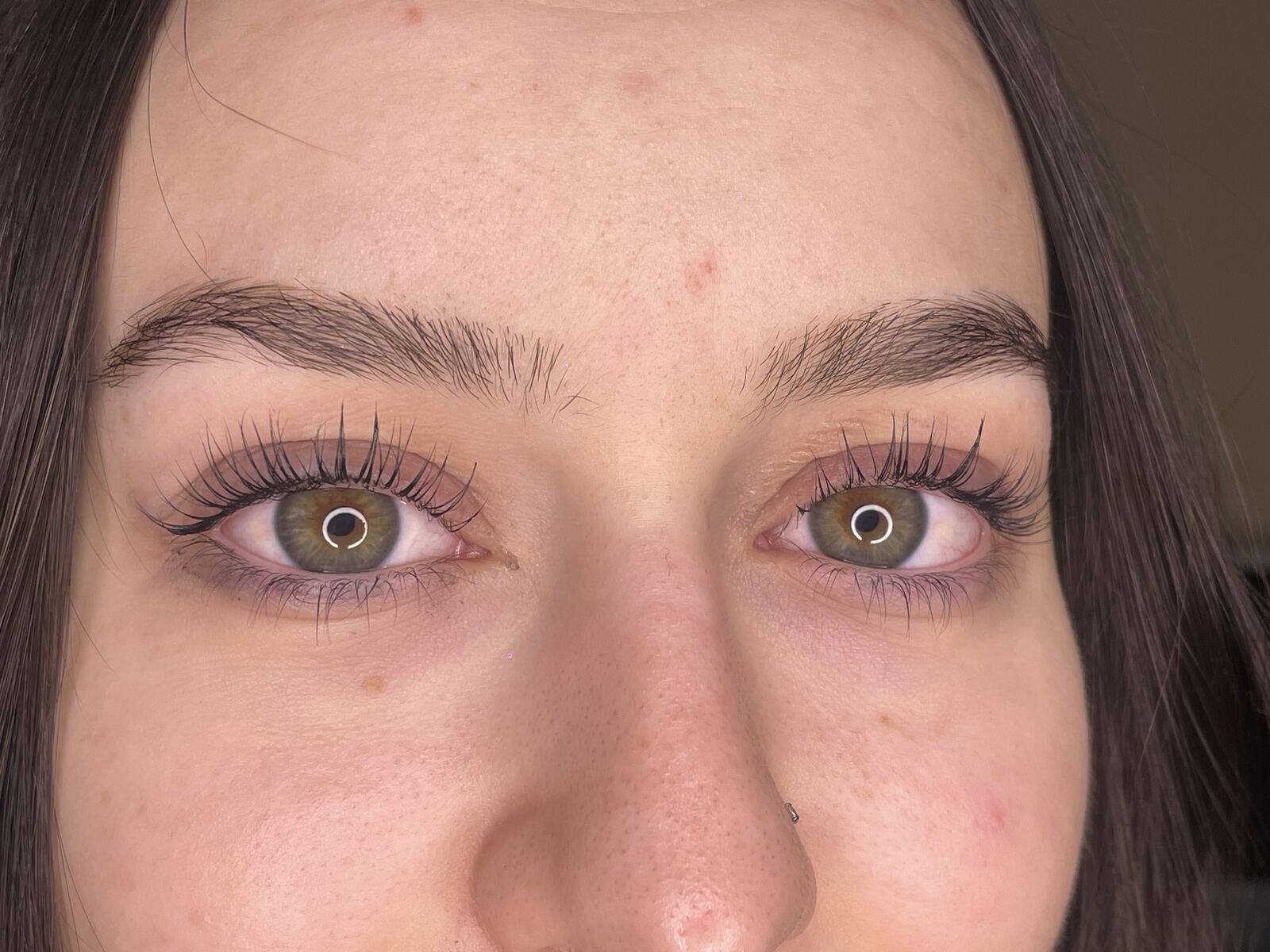 Side view of a fresh lash lift, lifted from the root